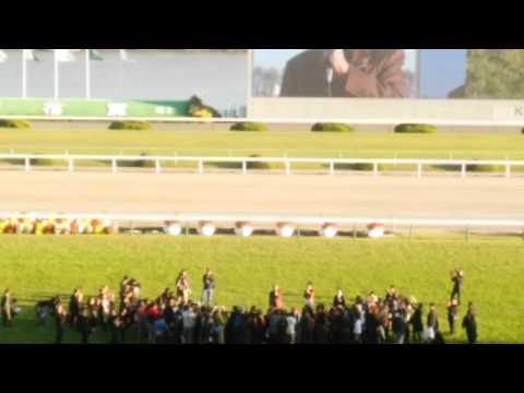 151025 菊花賞　北島三郎　祭り