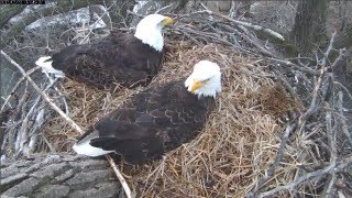 MNBound Eagles Mom & Dad Sit Side by Side 3-31-13