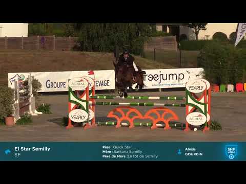 EL STAR SEMILLY (Quick Star x Le Tot de Semilly) 5ans / 5YO 2019