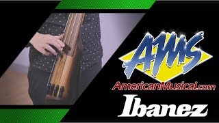 Video thumbnail for Ibanez UB804 Upright Bass Demo -- American Musical Supply by American Musical Supply