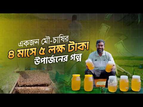 মাত্র ৪ মাসের মৌচাষে ৫ লক্ষ টাকা আয়—অবিশ্বাস্য হলেও এটাই বাস্তব করে দেখালেন পাবনার মুজিবুল ইসলাম