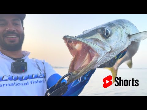 Shocking 😱Leader Line Test with Barracuda Teeth 👹| Shorts