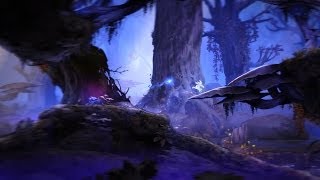 Ori and the Blind Forest Definitive Edition 20