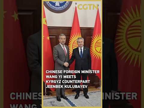 Chinese Foreign Minister Wang Yi meets Kyrgyz counterpart Jeenbek Kulubayev