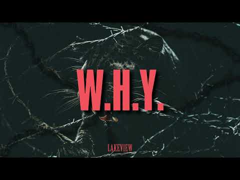 Lakeview - W.H.Y. (Visualizer)