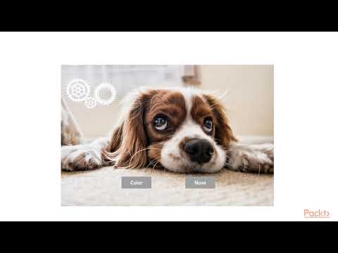 Artificial Intelligence in 3 Hours Image Classification | packtpub com