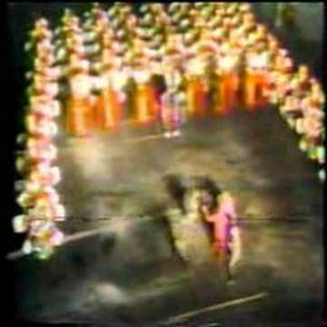 Aqua String Band 1977- Junglearoo