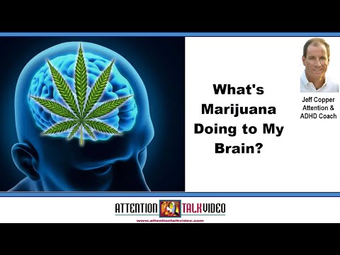 The Impact of Cannabis/Marijuana/Weed on ADHD