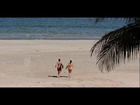 Watch lagu Images Videos Celebrity Reaction To Sri Lanka, Watch Images Celebrity Reaction To Sri Lanka free Watchn, video klip Celebrity Reaction To Sri Lanka