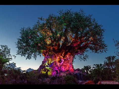 Tree of Life Awakenings at Disney's Animal Kingdom