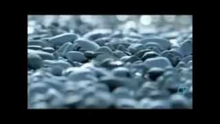 DiVé - Right here, Right now