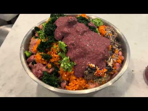 Easy Homemade Dog Food! Perfect for your allergy prone dogs!
