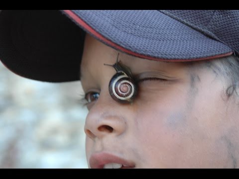 Le vide danse  G(A)Rcomix