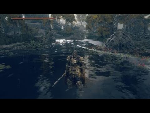 ELDEN RING™ SoNaF Post Nerf