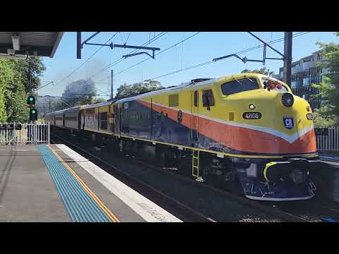 42105 + 42101, East Coast Heritage Rail Cockatoo Run, Jannali.