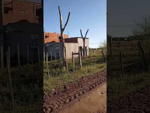 monte caseros (corriente argentina)