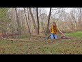 How to Plant and Grow Sugarcane in Rows (Even Outside the Tropics)