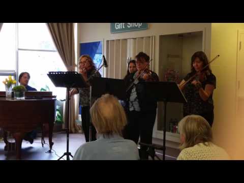 Fiddle Recital 2017.  Ladies Group. Cranbrook Kitchen Party.