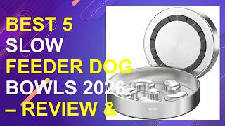 Best 5 Slow Feeder Dog Bowls 2026 Review Comparison