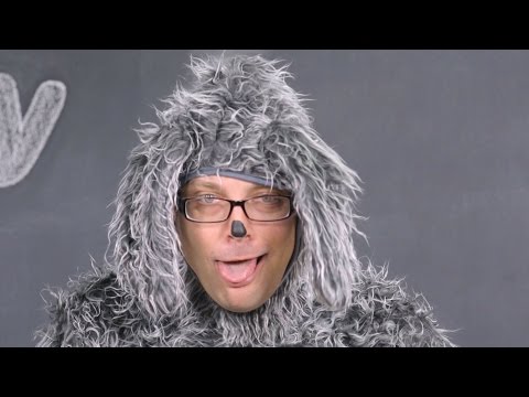 Castor & Pollux Natural UltraMix Dog Food | Chewy