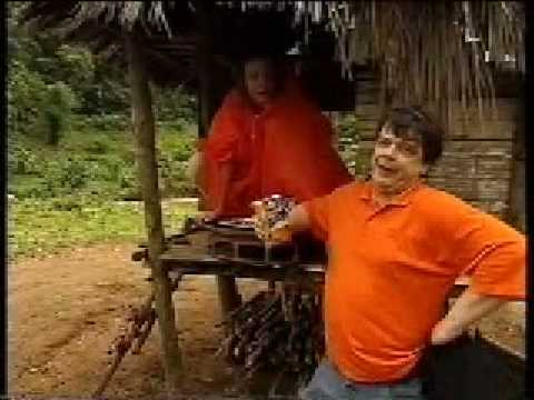 Commercial Basmati Rijst van Lassie