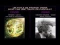 Un tacle de Patrick Vieira n'est pas une truite en chocolat - Vincent Delerm - SPL [ FAN COVER ]