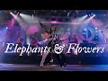 Prince - Elephants & Flowers - 1990 - Graffiti Bridge - DNO Video Edit - DNOstalgia Prince - Elephants & Flowers - 1990 - Graffiti Bridge - DNO Video Edit