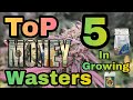 Top 5 Biggest Wastes of Money in Growing