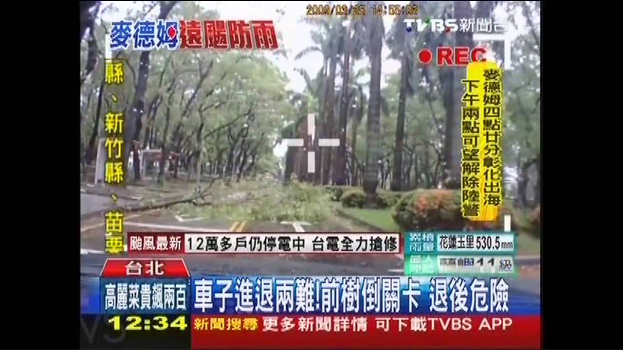 麥德姆撲台／北市樹倒「驚險障礙賽」　車逆向人行道