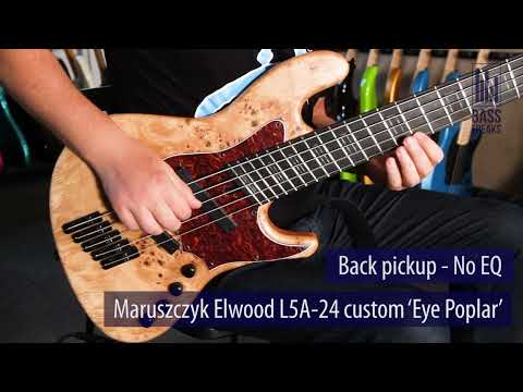 Maruszczyk Elwood L5A-24 Custom Live Demo - BassFreaks.net