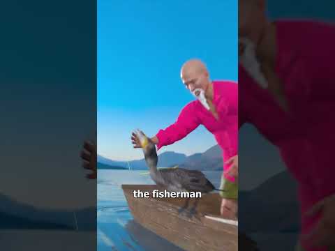 ¡El Pájaro Que Pesca Para Los Humanos! 🐟😱 #shorts