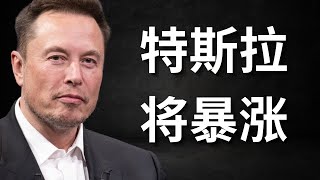Re: [新聞] Tesla is having major issue with its s