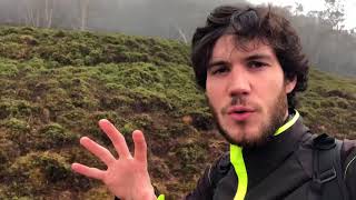 Le Tigre de Tasmanie