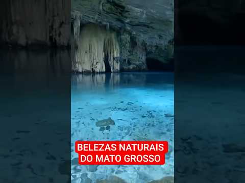 BELEZAS NATURAIS DO MATO GROSSO #matoGrosso #turismoBrasil #ChapadaDosGuimarães #Pantanal #fyp