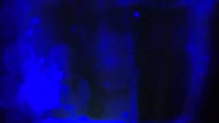 Playboy Model Angela McLin&#39;s B-Day @ Mantus Dallas