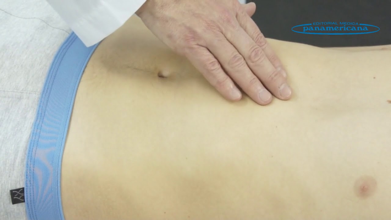Video 20 Topografía del abdomen