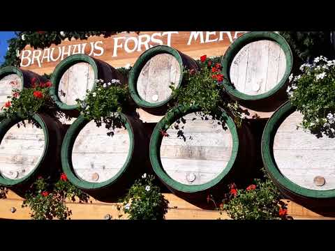 Traubenfest in Meran