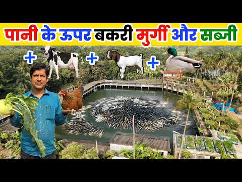 नीचे मछली ऊपर मुर्गी + बकरी + 50 गाय और छत पर सब्जी की खेती | Integrated Farming