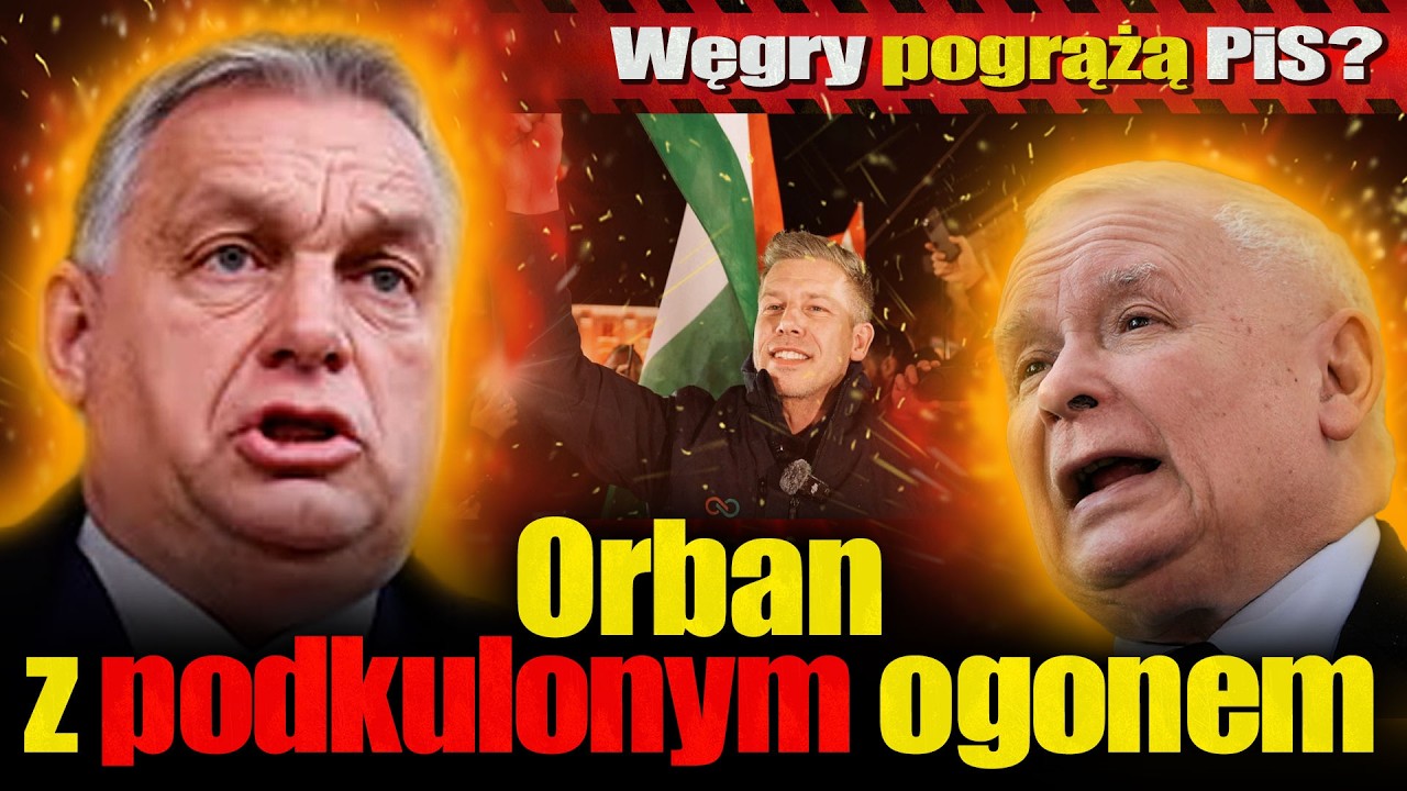 Najlepszy według mnie, komentarz powyborczy