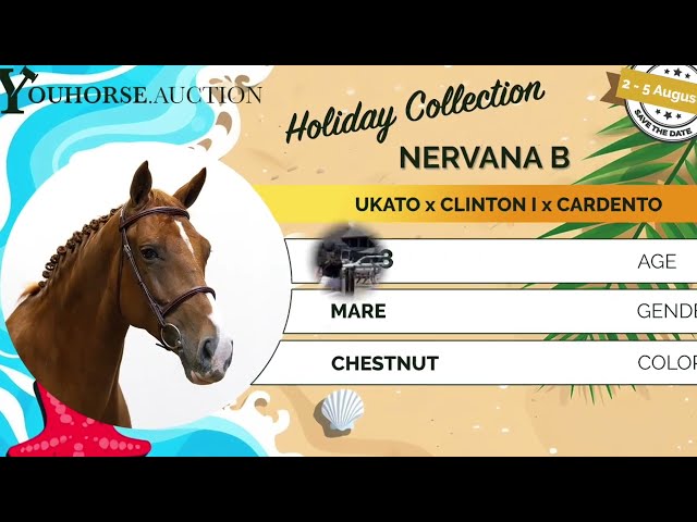 Nervana B showvideo