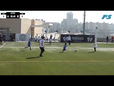 🔴 Directo ✔ Petizes ⚽ AD Sanjoanense x CD Feirense ✔ IX Torneio de Petizes