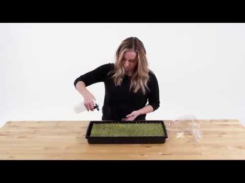 download lagu mp3 mp4 Fork And Farm, download lagu Fork And Farm gratis, unduh video klip Fork And Farm