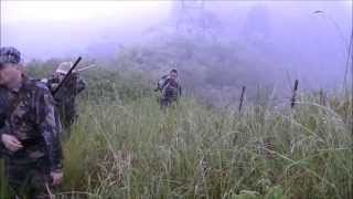 preview picture of video 'CHASSE RUSA EN NOUVELLE CALEDONIE . RUSA HUNTING IN NEW CALEDONIA'