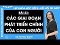 Vở bài tập Khoa học Lớp 5 Bài 23: Các giai đoạn phát triển chính của con người