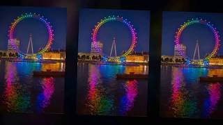 THE BOX TOPS- &quot;NEON RAINBOW&quot;(LYRICS)