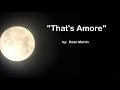 That's Amore  (w/lyrics)  ~  Dean Martin