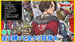 スクエニさんからの挑戦状は受け取った【ドラゴンクエストⅩ 目覚めし五つの種族　オフライン】#1