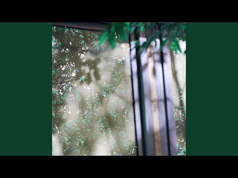 Peace in perfect balance