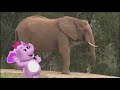 Redone Songs The Elephant Song