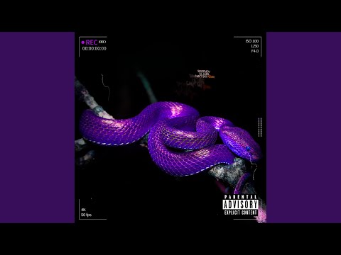 Prometh (feat. Lil Leen) (Can't Say Remix)